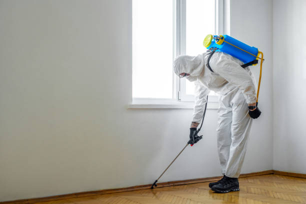 Pest Prevention Services in Grand Forks, ND