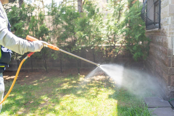 Wasp Removal Services in Grand Forks, ND