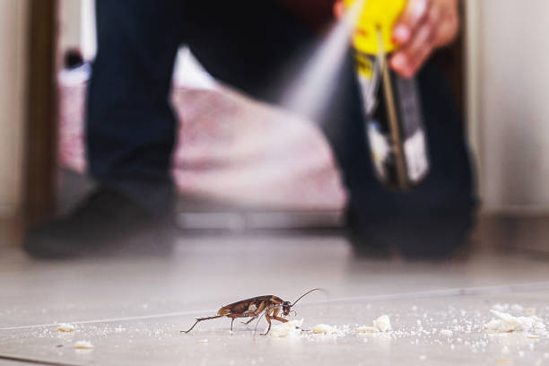 Best Best Pest Control Companies  in Gra Forks, ND
