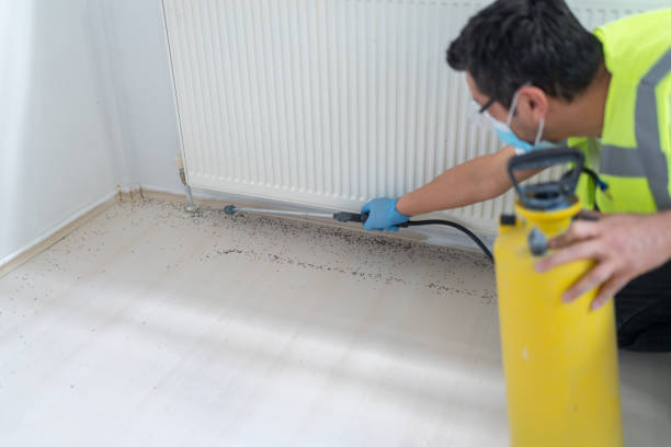 Best Pest Removal Services  in Gra Forks, ND